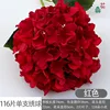 116 กลีบบนดอกไฮเดรนเยียสีแดงดอกเดียว