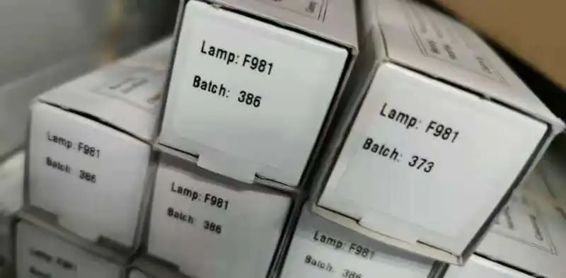 F981.jpg