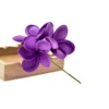 PRF-194  Purple