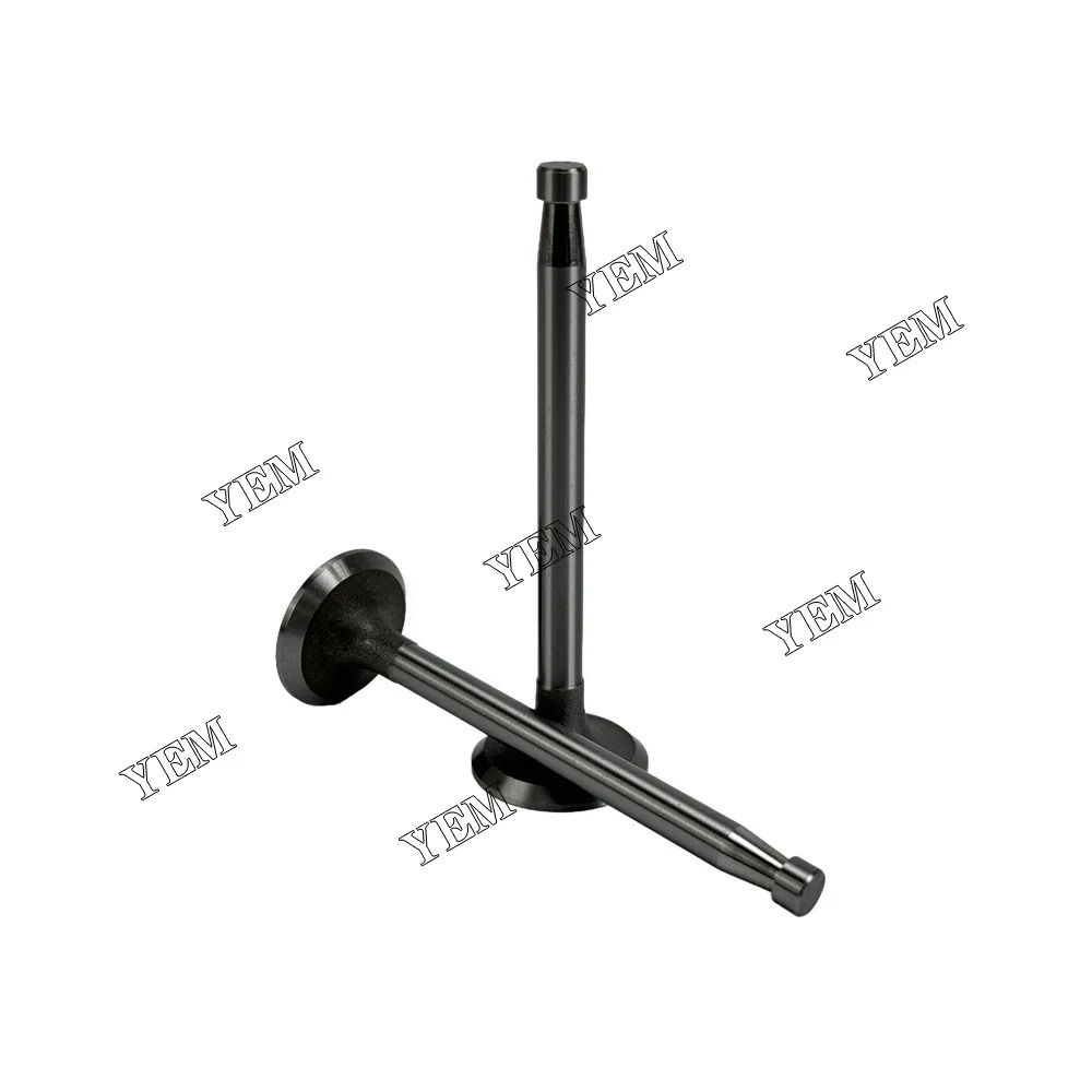 295AD Valve for SDEC Valve Engine Repair Kit 3