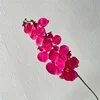 Bright Rose