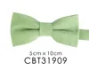 CBT31909