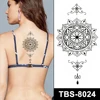 TBS-8024
