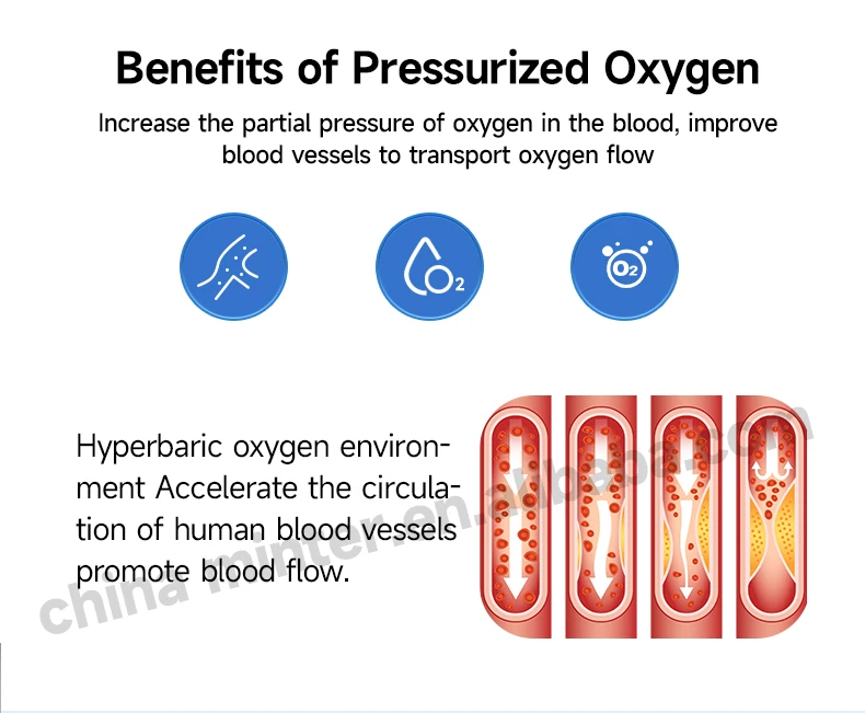 20 ata oxygen chamber-10
