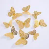 C# Gold [12 pcs per pack]