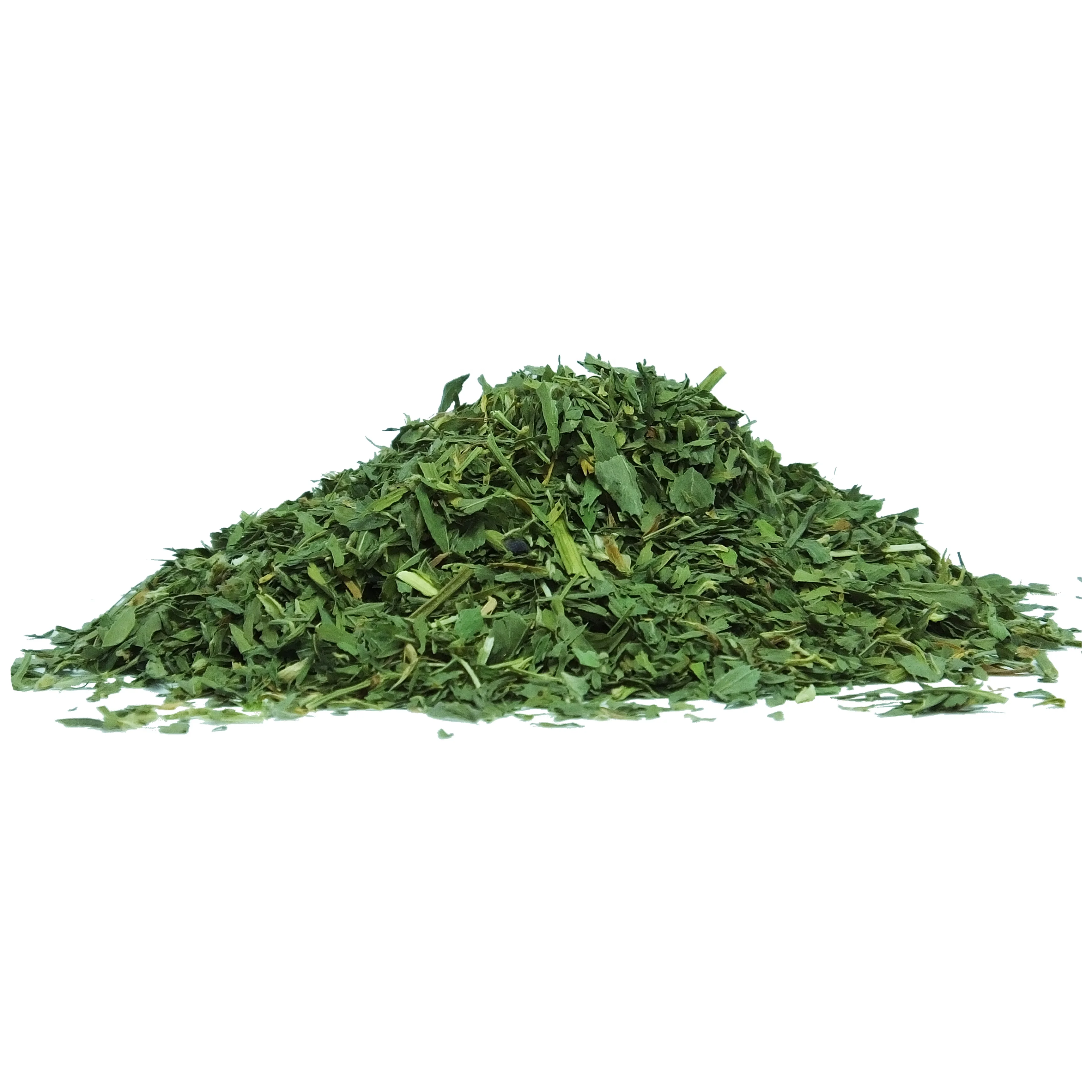 High Quality Alfalfa Top Grade Lucerne