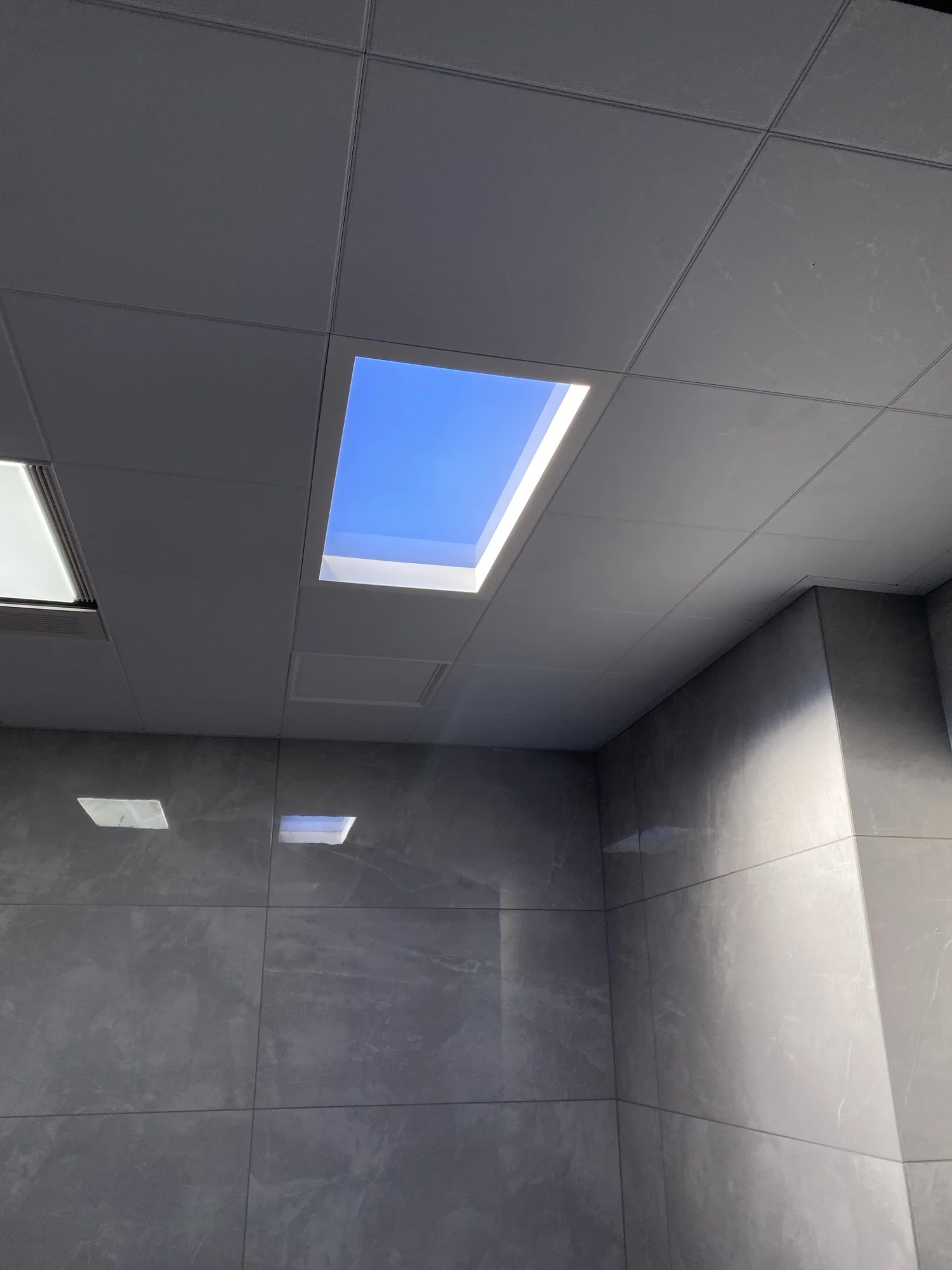 Coyoled Sad Light Therapy Lamp Smart Ceiling App Wifi Control Led Blue