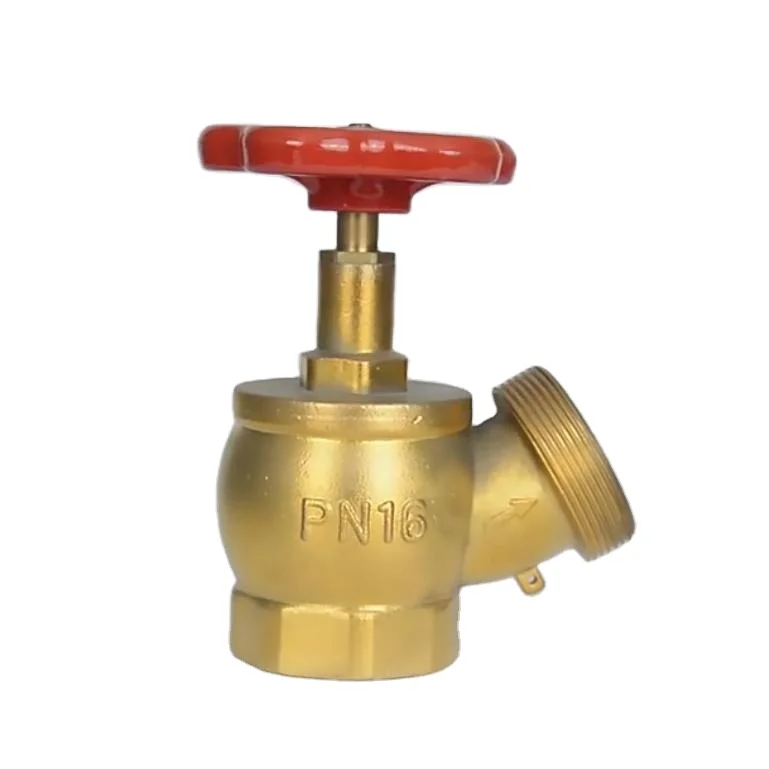 Angle Globe Hose Valve factory