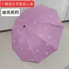 10-Bone Grande Taille (Floral Ciel Violet) - Un Choix de Qualité
