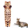 Leopard Cat