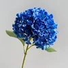 11# Azul real