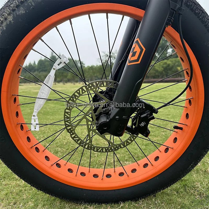 Lantu Ebike Customized Fast 48v 52v 1200w Mtb off Road 24 Inch Dirt Electric Bike