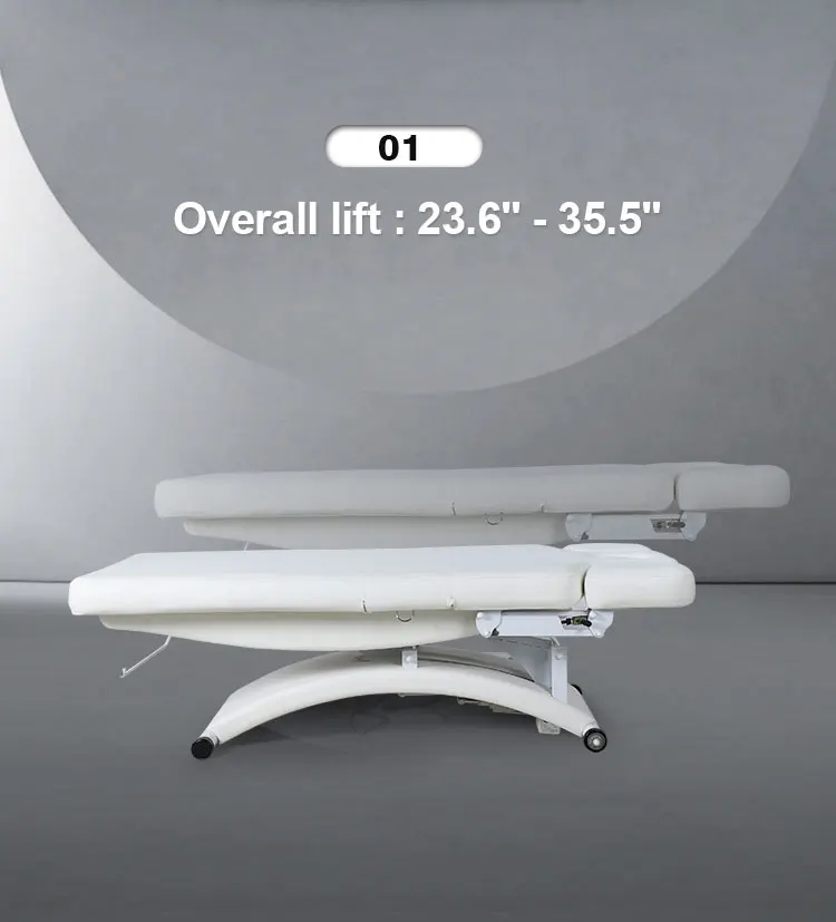 Modern Luxury Beauty Salon Wellness 3 Electric Motors Therapy Treatment