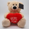 Orso con cuore rosso