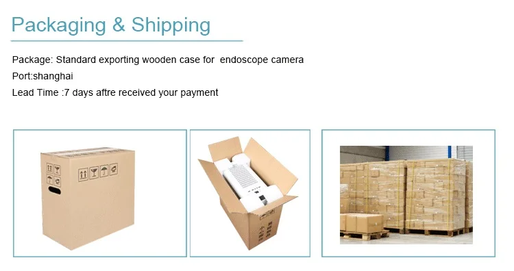 HD 1080P Video Camera medical endoscopy camera module Endoscope System for Ent supplier