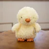 Pollito amarillo