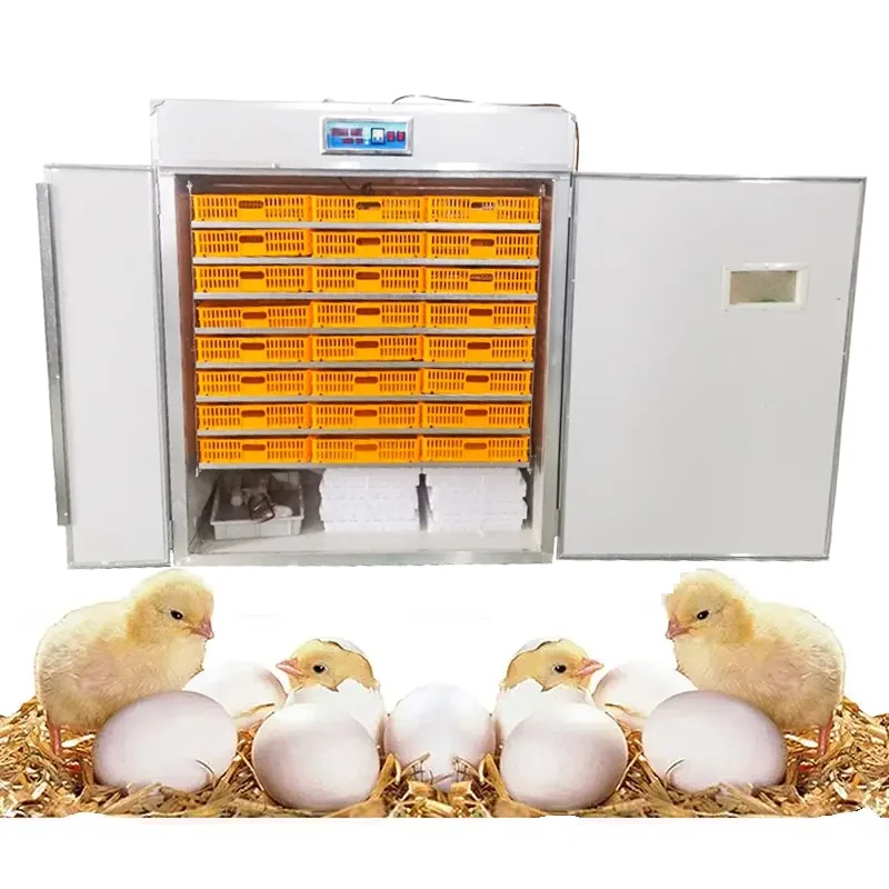 Quail Power Alibaba.com: Electric Power Fully Auto Incubator with quail and chicken ...