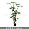 Monstera deliciosa de la selva tropical, 160 cm (viene con base negra)