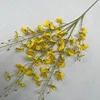 Jaune doux