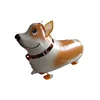 Corgis che cammina