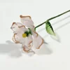 Rosa di novembre