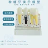 B transparent black nail dental implant