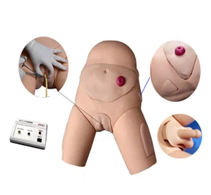 
 Продолжайте Высокоточный симулятор для взрослых пациентов  