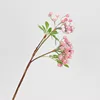 2 têtes de blanc fraise (fleurs)
