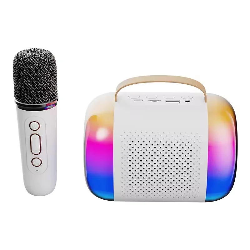 Ensemble karaoké Mini enceinte Bluetooth portable avec 2 microphones sans fil pour