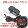 16.8V 0.8A dedicated small-port charger