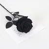 Large velvet, pure black
