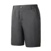 Gray-2