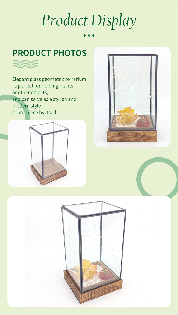 Indoor home tabletop large black geometric cuboid glass jar terrarium box container display pot with wooden base details