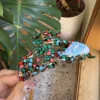 Peacock Blue