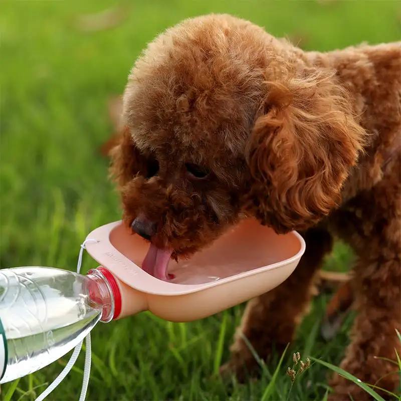 Pet Dog Water Bottle Feeder Mini Dog Water Bowls Pet Supplies Portable Dog  Bowl Travel for Puppy Cat Outdoor Bowls Water Bottles