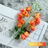 สีส้ม