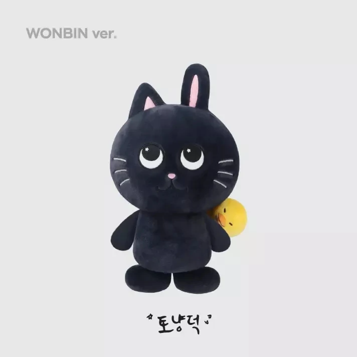 OEM Custom RIIZE 40cm Plushies - Kpop Dolls & Stuffed Animals