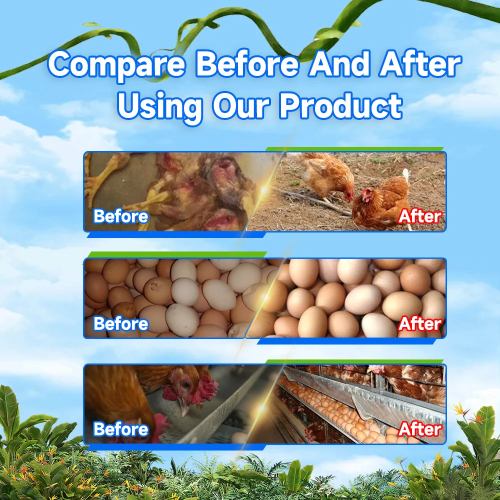 Animal Feed Additive Methionine Probiotic Multivitamin to Grow Egg Booster Powder for Birds Hen Layer Chicken Poultry Supplement