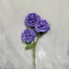 สีม่วง