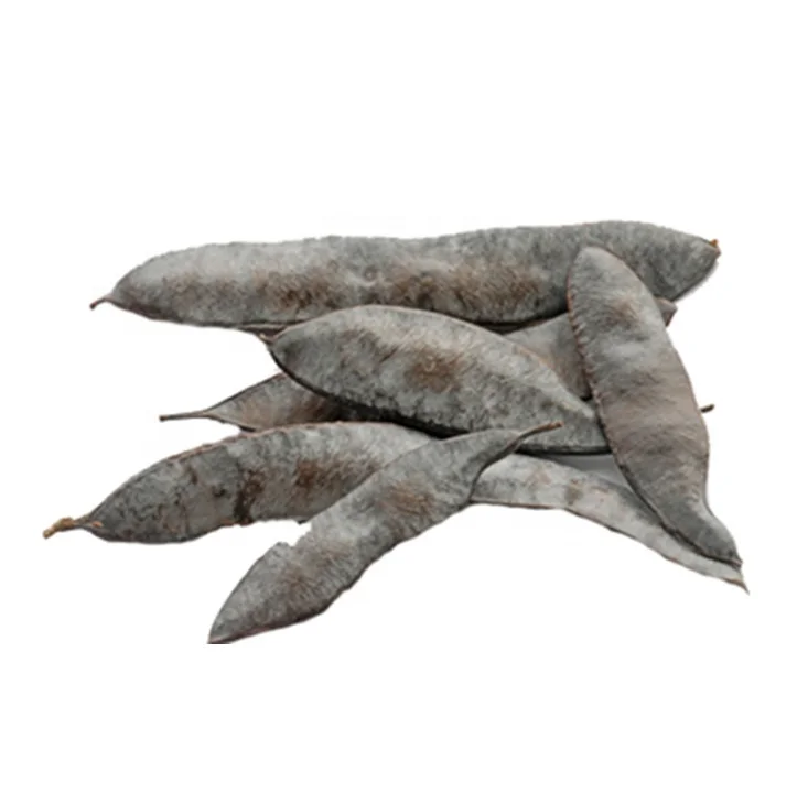 Most Powerful Shikakai Gleditsia Sinensis Extract Powder