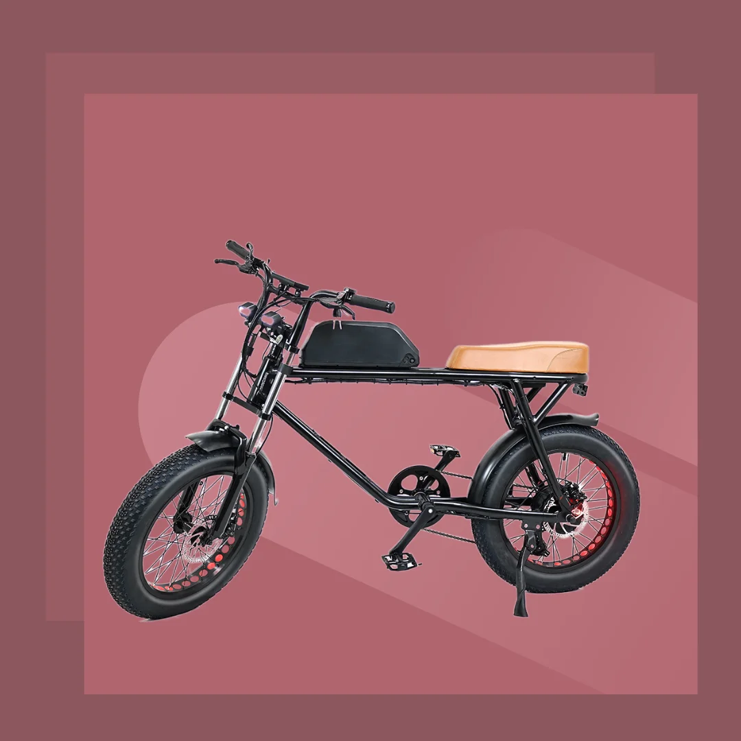 Shuangye Electric Bike Factory Over 15Year OEM ODM Promotion Product