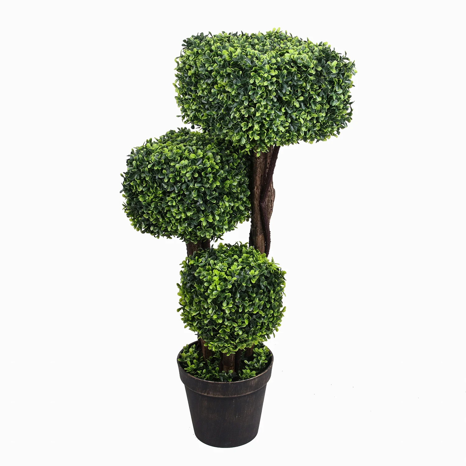 Boxwood Topiary