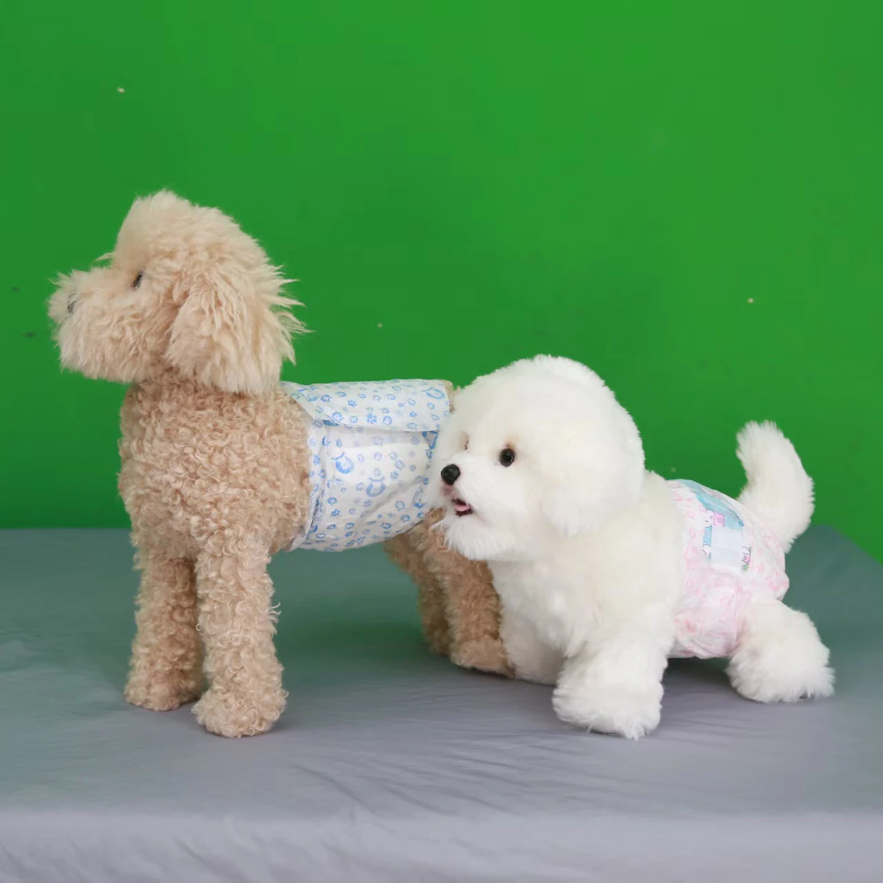 pet diapers for dog.jpg