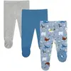 Arctic Animals