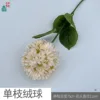 Single pom-pom WY Champagne