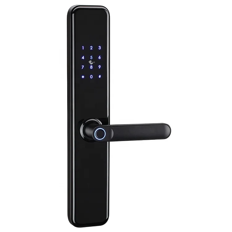 Aluminium Alloy Electronic Door Locks Fingerprint Entrance Digital Door