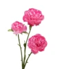Light rose