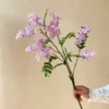 1 light purple