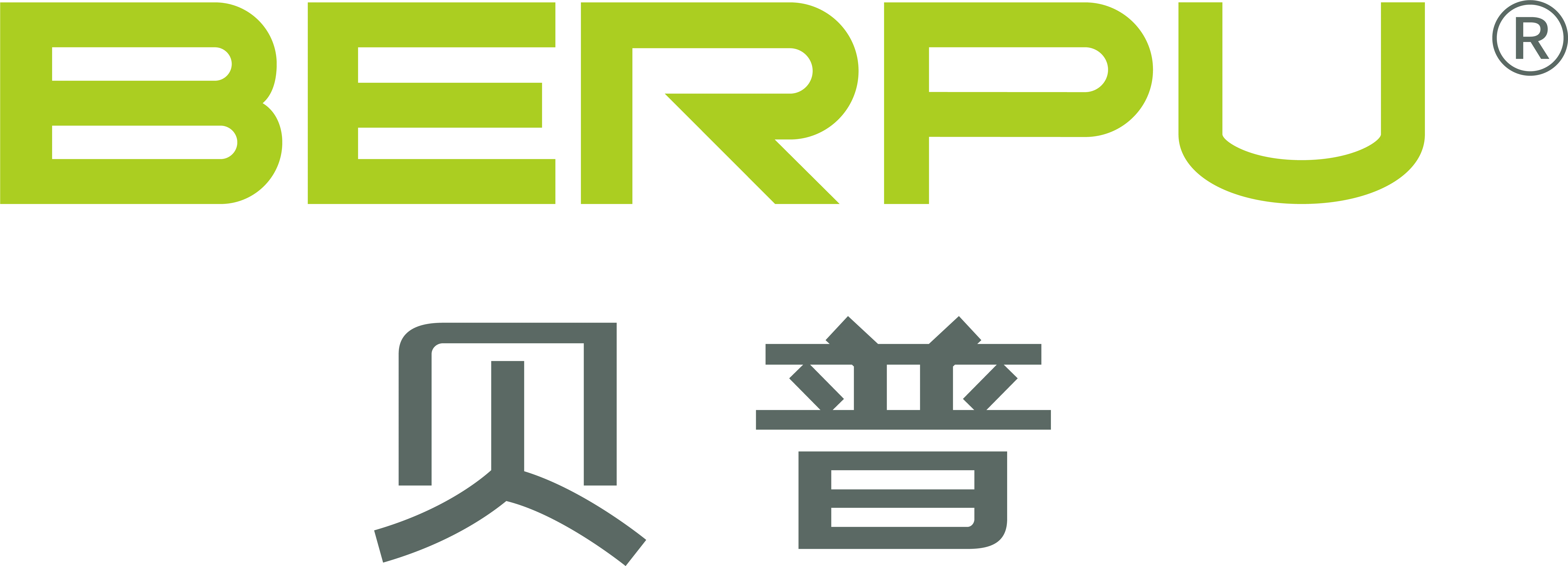 Company Overview Berpu Medical Technology Co., Ltd.