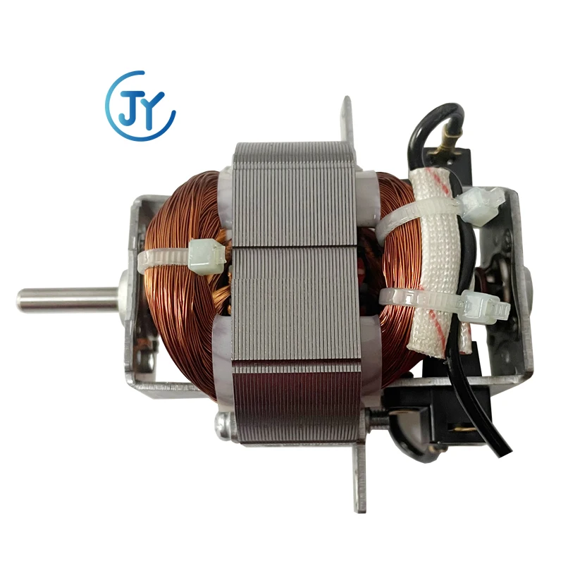 Factory Manufacturer Electric Carbon Brush Motor With Fan For Hair